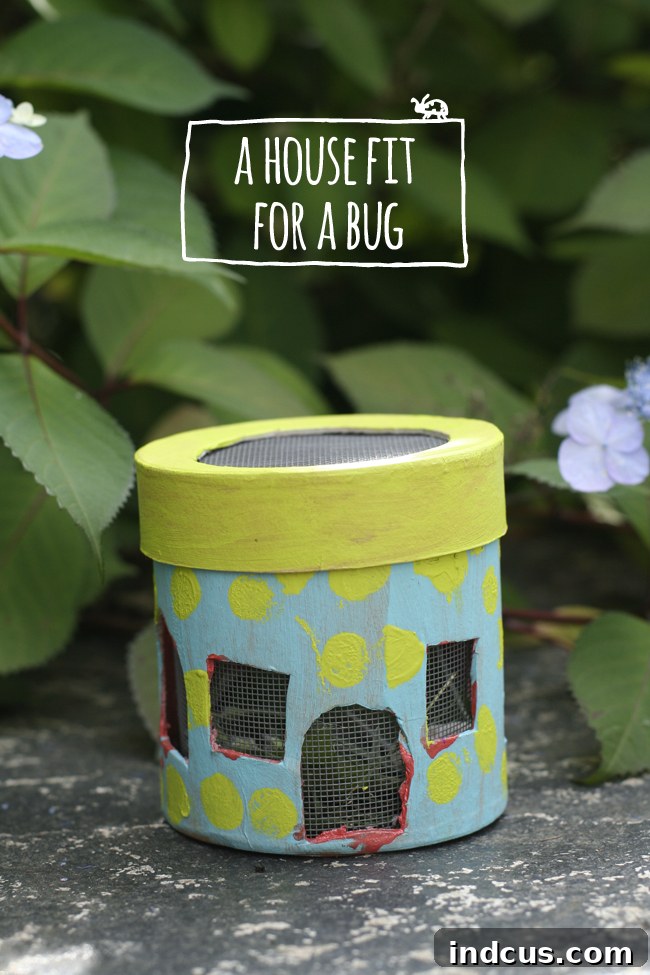 bug house summer craft for nature exploration