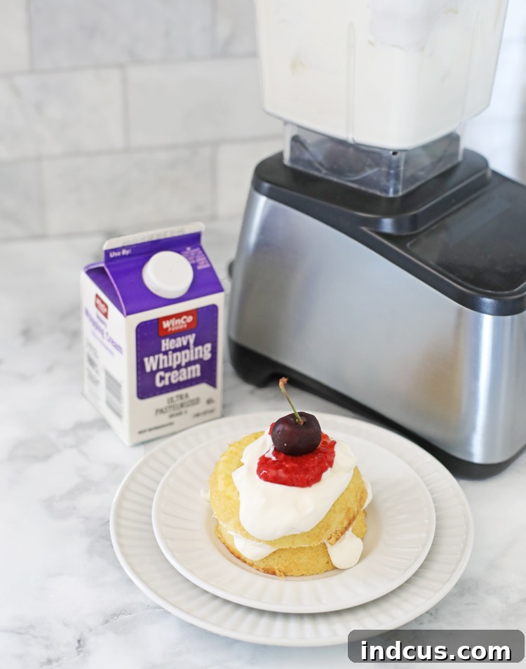 Proven Kitchen Solutions 6 Blender with heavy cream, sugar, and vanilla transforming into fresh whipped cream in seconds