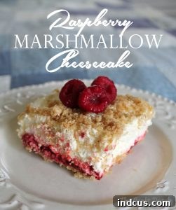 Preview image of Raspberry Marshmallow No-Bake Cheesecake recipe