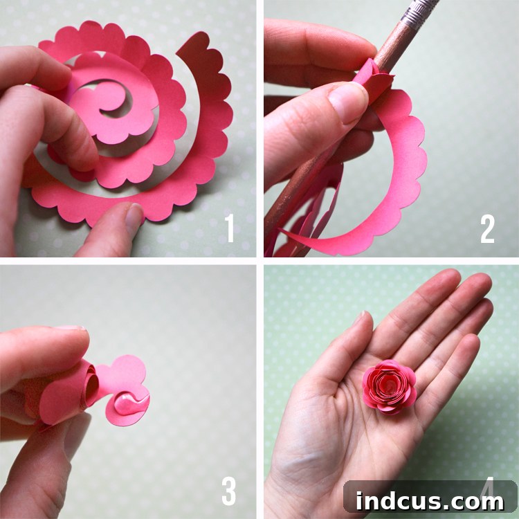 Visual tutorial for rolling paper flowers from spiral cutouts