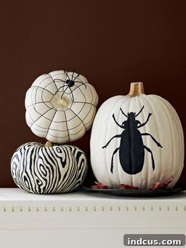 Bold black and white painted pumpkin designs