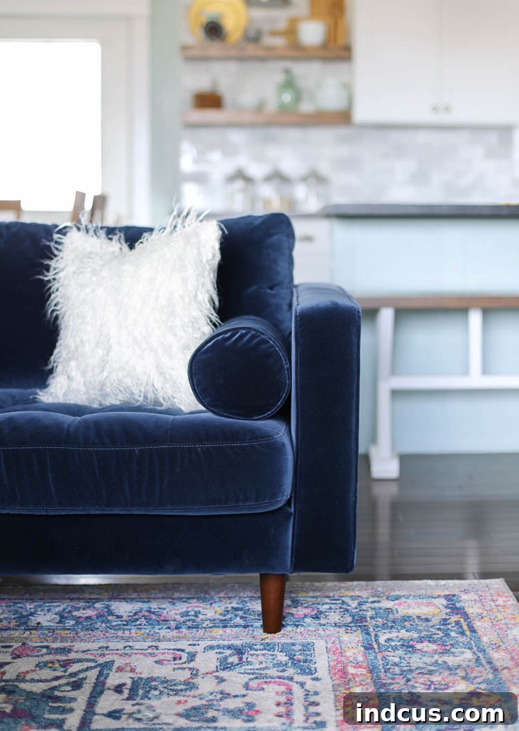 A corner of the modern living room showcasing the sofa, rug, and decor elements
