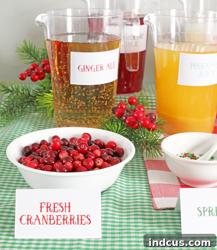 Create Your Own Non-Alcoholic Christmas Punch Bar Free Printables Included 5 holiday drink mix ins