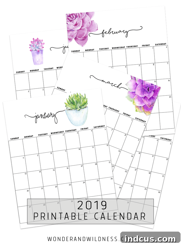 A stunning succulents and cacti watercolor calendar for 2019, featuring vibrant and artistic illustrations of popular desert plants, ideal for adding a touch of natural elegance.