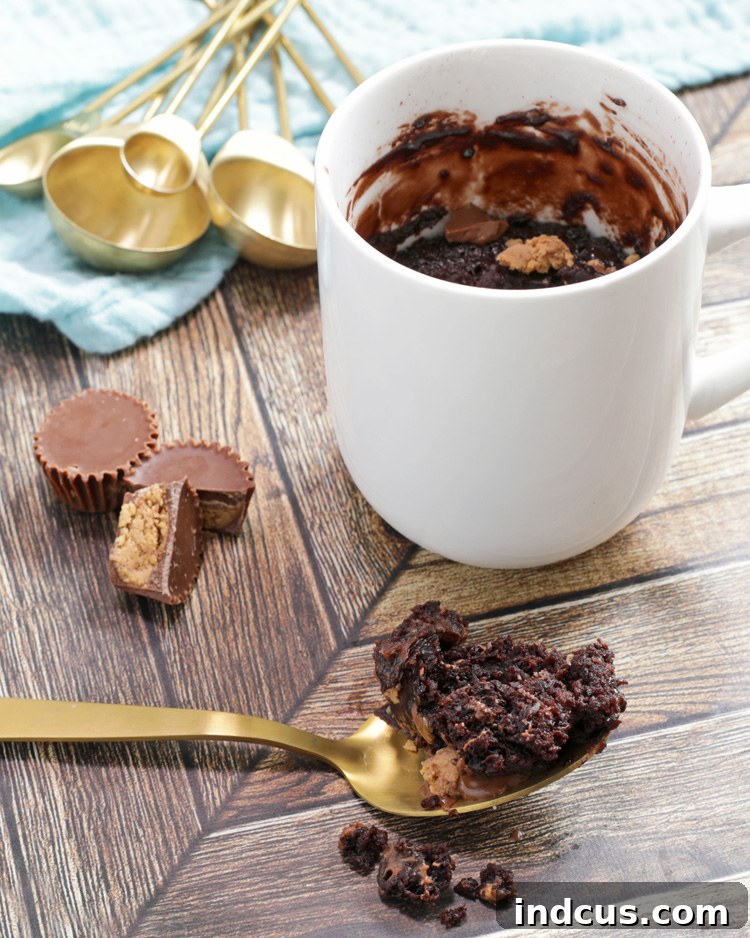 Peanut Butter Chocolate Mug Cake - A quick and easy microwave dessert