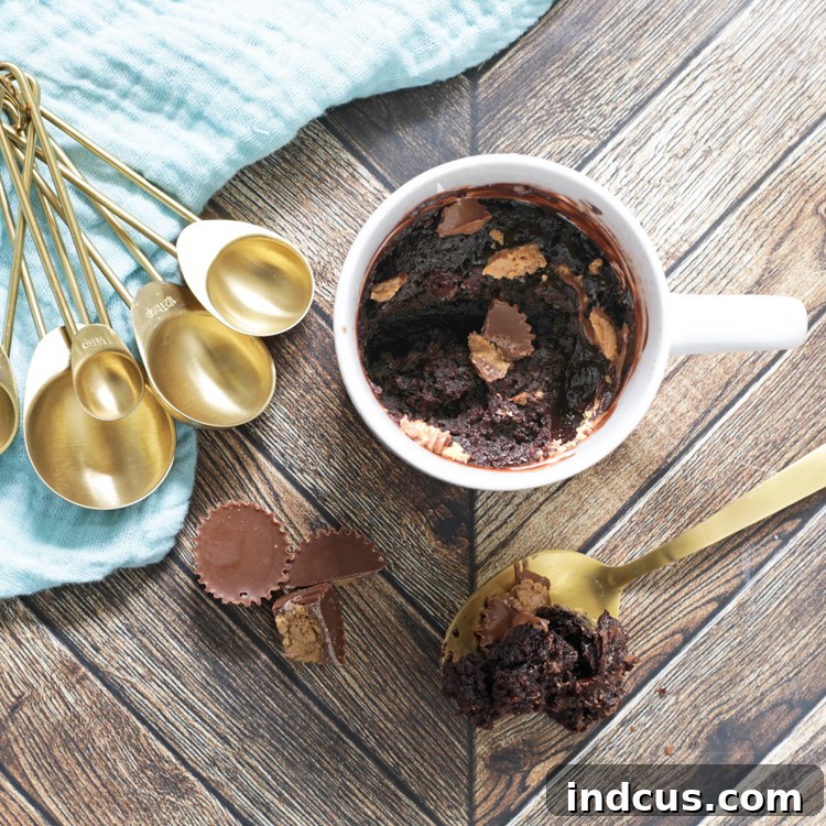 Peanut Butter Chocolate Mug Cake Recipe - Easy and quick microwave dessert