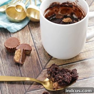 Peanut Butter Chocolate Mug Cake