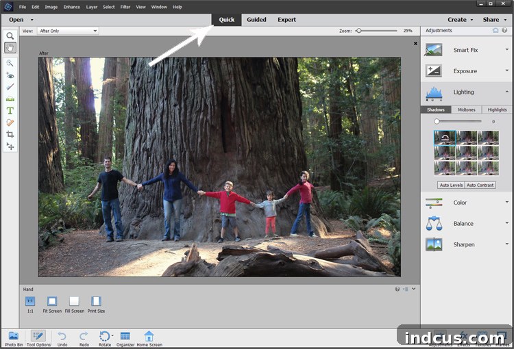 Screenshot of the 'Quick' tab in Photoshop Elements showing easy editing options for photo puzzles