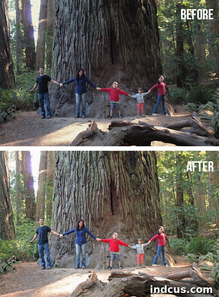 Detailed view of a photo being edited in Photoshop Elements, showing adjustment sliders