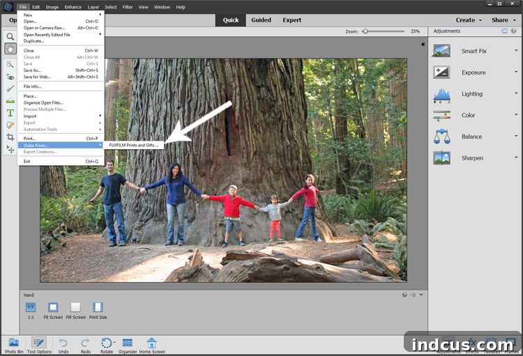 Screenshot showing 'File' menu in Photoshop Elements with 'Order Prints' and 'FUJIFILM Prints and Gifts' selected