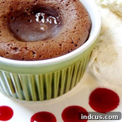 Decadent Chocolate Volcanoes 2 Molten Lava Cake with Fresh Raspberries and Powdered Sugar