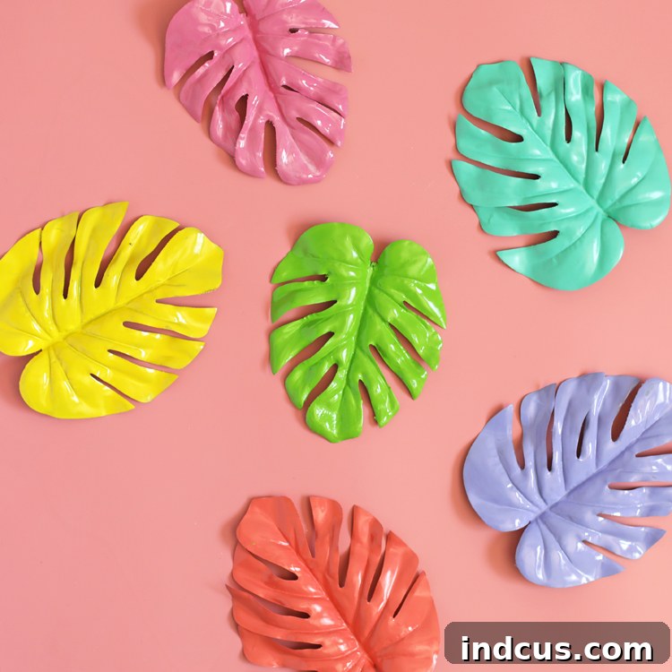colorful monstera leaves