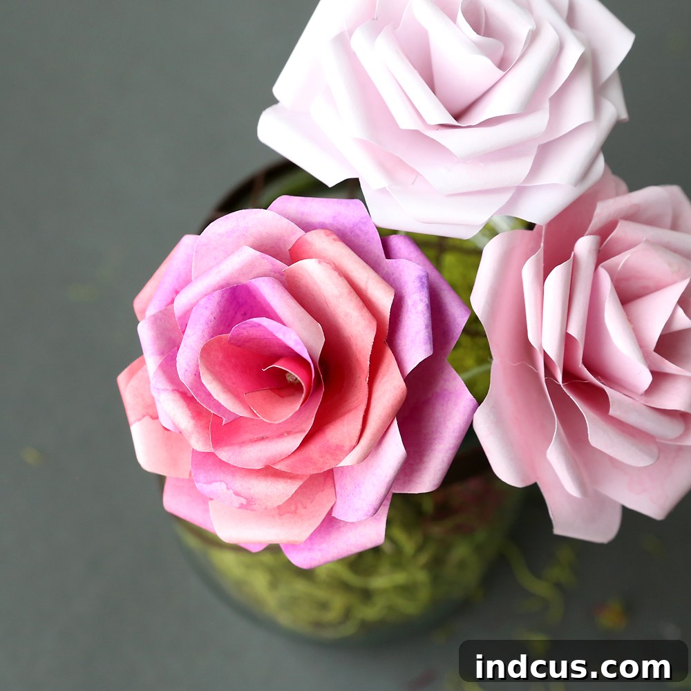 watercolor rose template