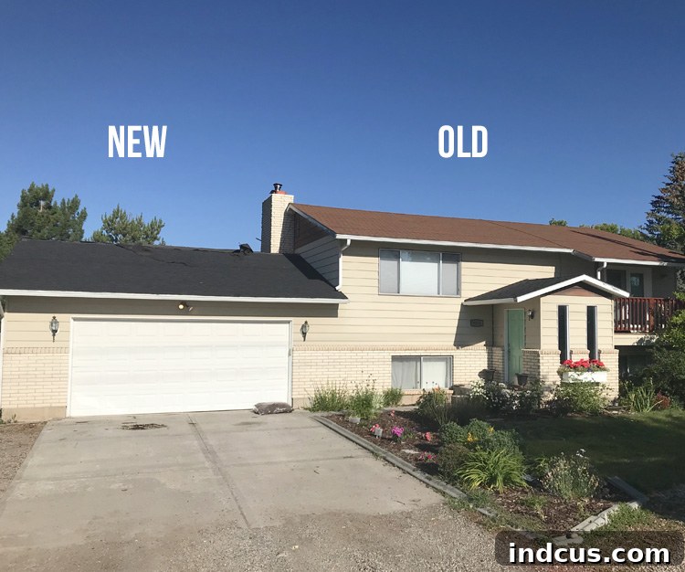diy new roof