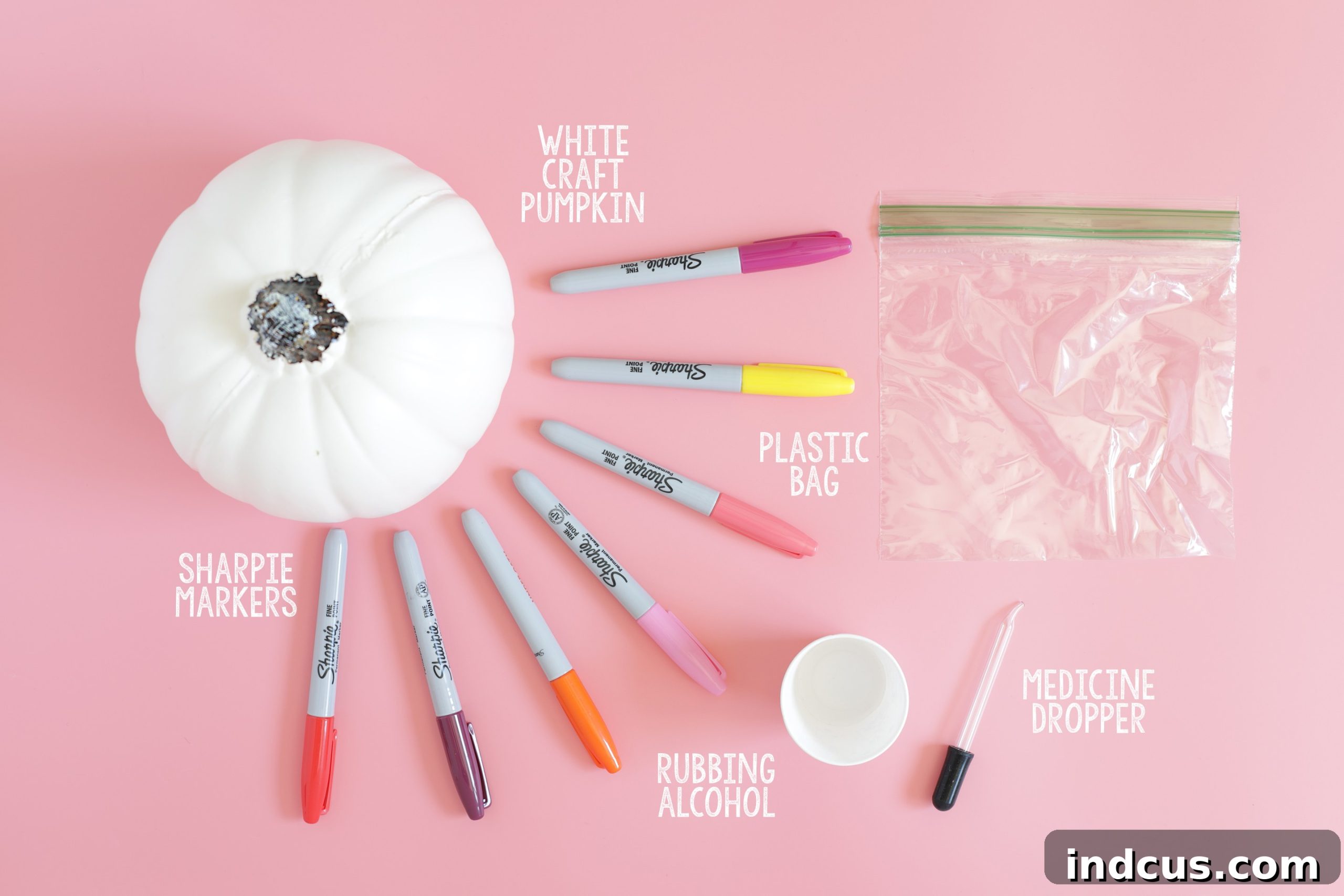 Craft supplies including Sharpie markers, rubbing alcohol, plastic bag, and dropper for pumpkin decorating