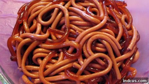 Jiggly Jello worms emerging from a crushed cookie 'dirt' bed.