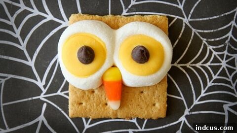 Adorable owl s'mores made with graham crackers, chocolate, and marshmallows.