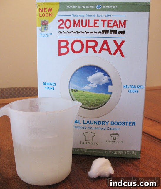 Borax ant killer effectiveness test
