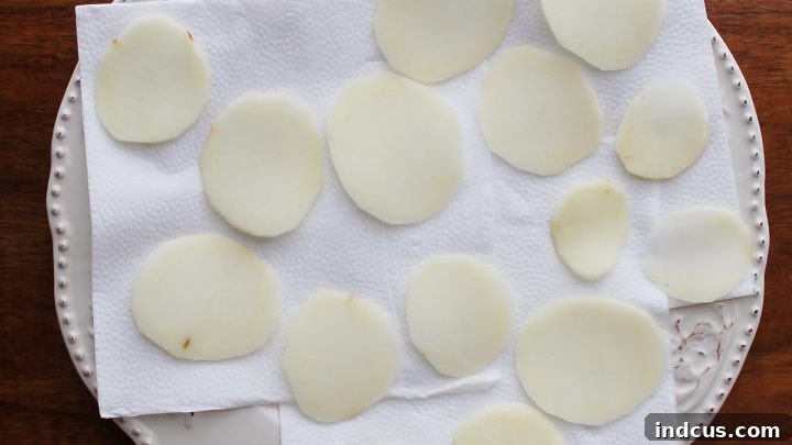 Microwave potato chips recipe test