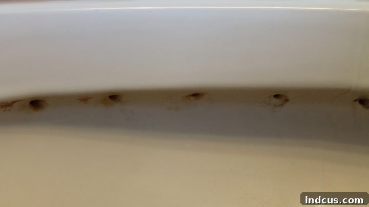 Cleaning the toilet bowl rim holes