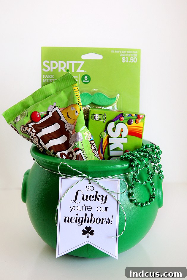 So Lucky St. Patrick's Day Tags