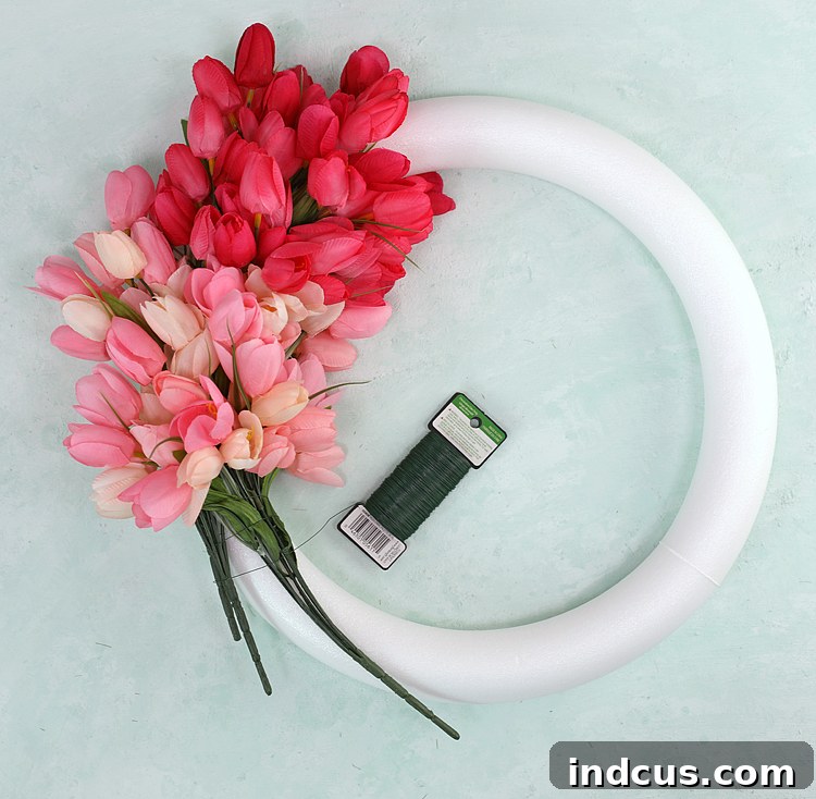 First bunch of red tulips being wired onto a white foam wreath form as the initial step of wreath making