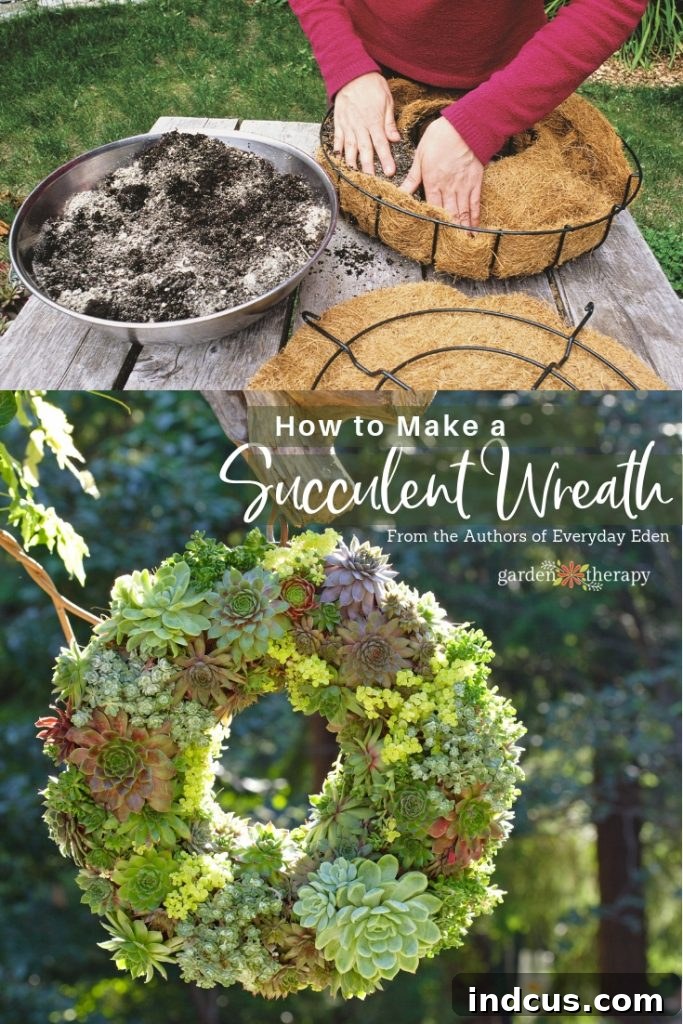 Stunning Living Succulent Wreath