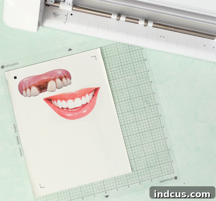 Printable HTV Loaded on Cutting Mat for Silhouette Cameo