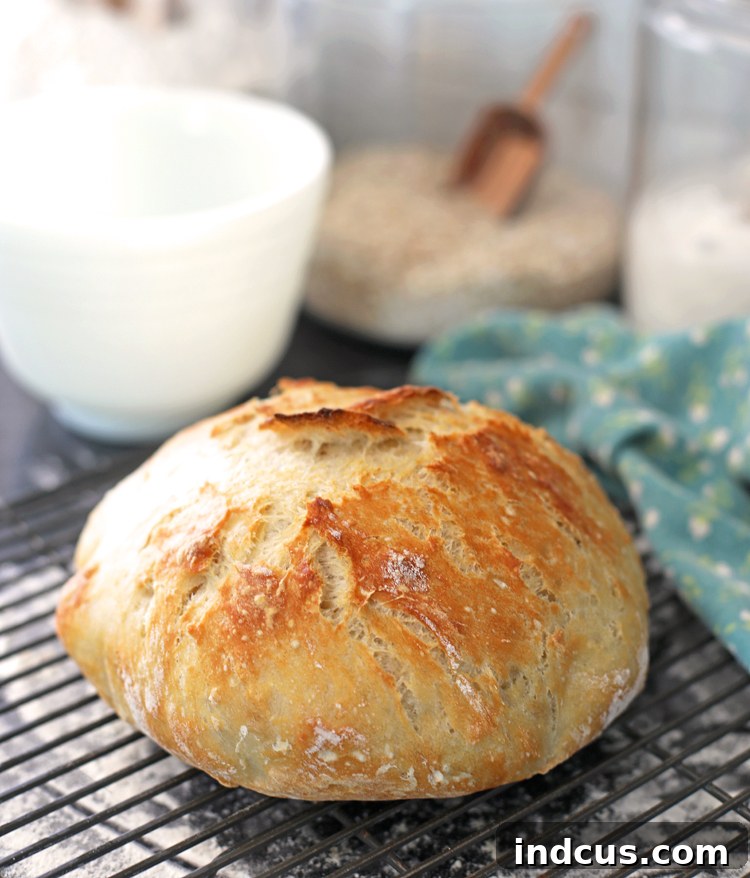 Beautifully baked no-knead Dutch oven artisan bread with a golden-brown, crispy crust