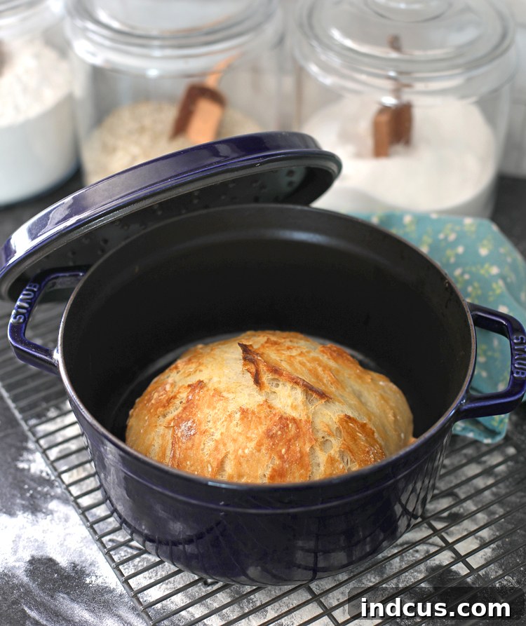 Warm, freshly baked Dutch oven bread cooling on a rack, showing its rustic texture