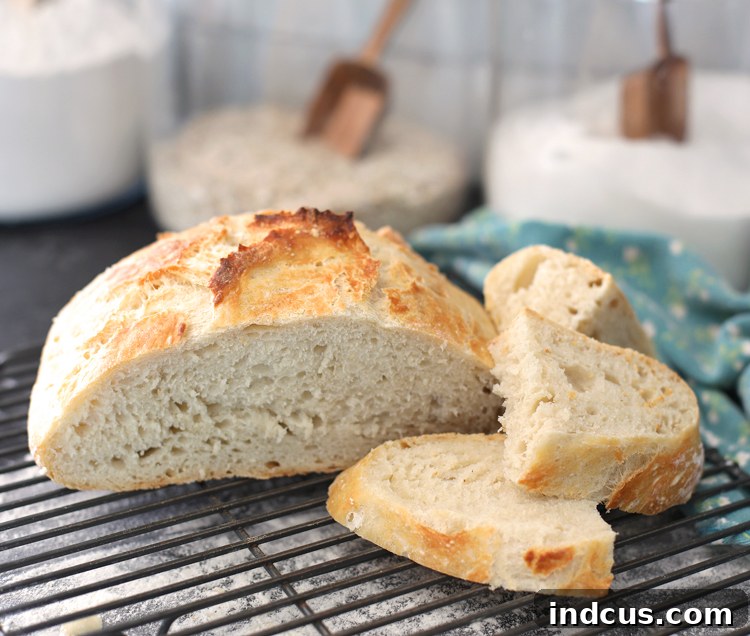 Close-up of a slice of crusty artisan bread, revealing its airy, open crumb structure