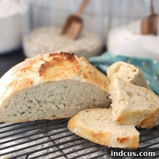 Perfectly baked artisan bread with a golden-brown crust