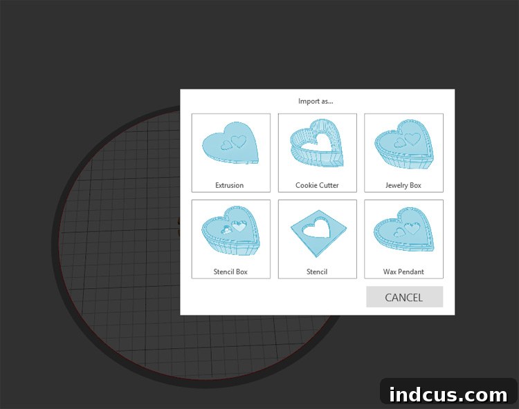 Screenshot of Silhouette 3D software interface with design options