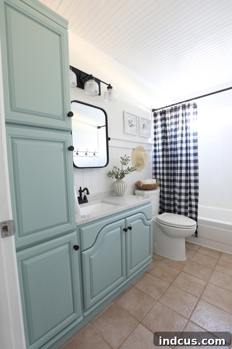 bathroom cabinet painted Sherwin-Williams Halcyon Green